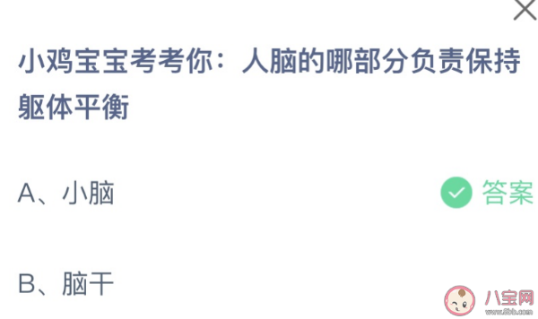 蚂蚁庄园今日答案最新8.3：人脑哪部分负责保持躯体平衡？小脑还是脑干