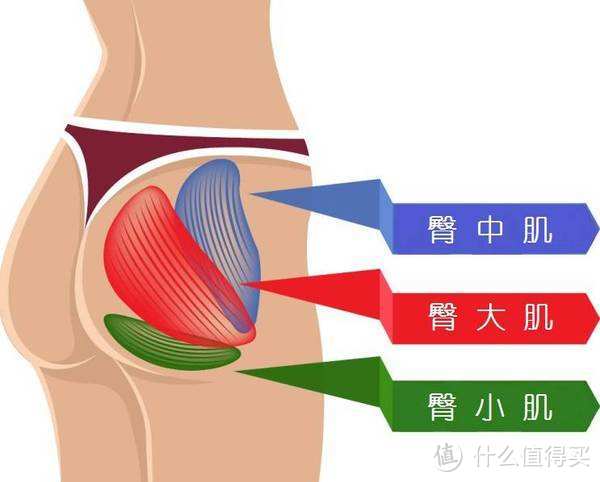 深蹲可以提高性能力？关于深蹲，小白常见的6个疑问