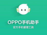 OPPO手机助手连接不上手机如何解决？oppo手机助手「OPPO手机助手连接不上手机如何解决？」